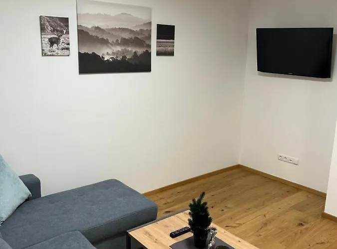 Fischbacher 公寓 *